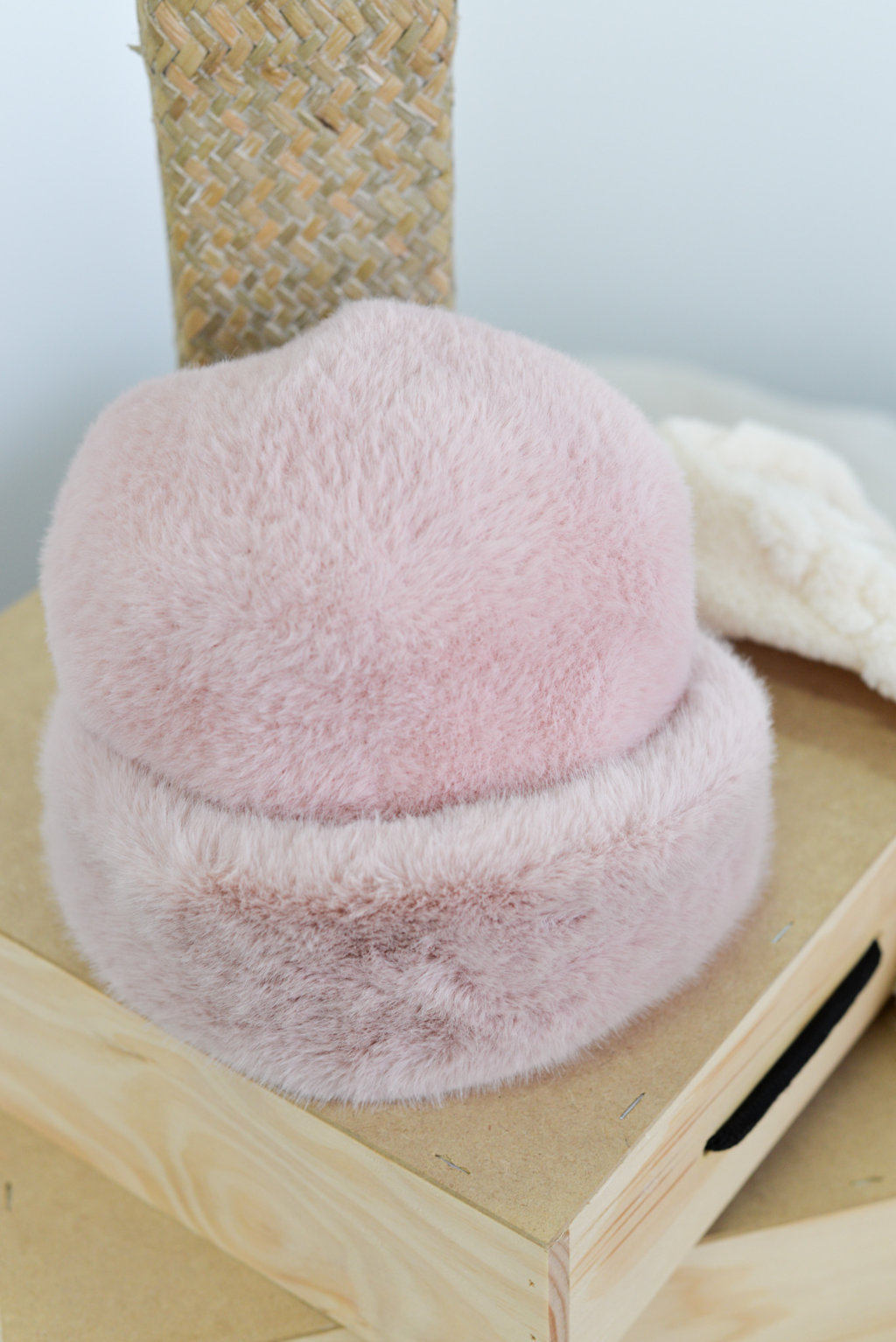 DSC_9103 (FILEminimizer)