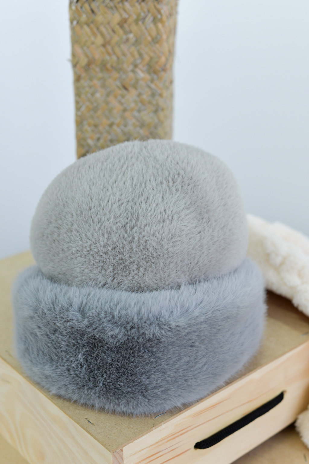 DSC_9112 (FILEminimizer)