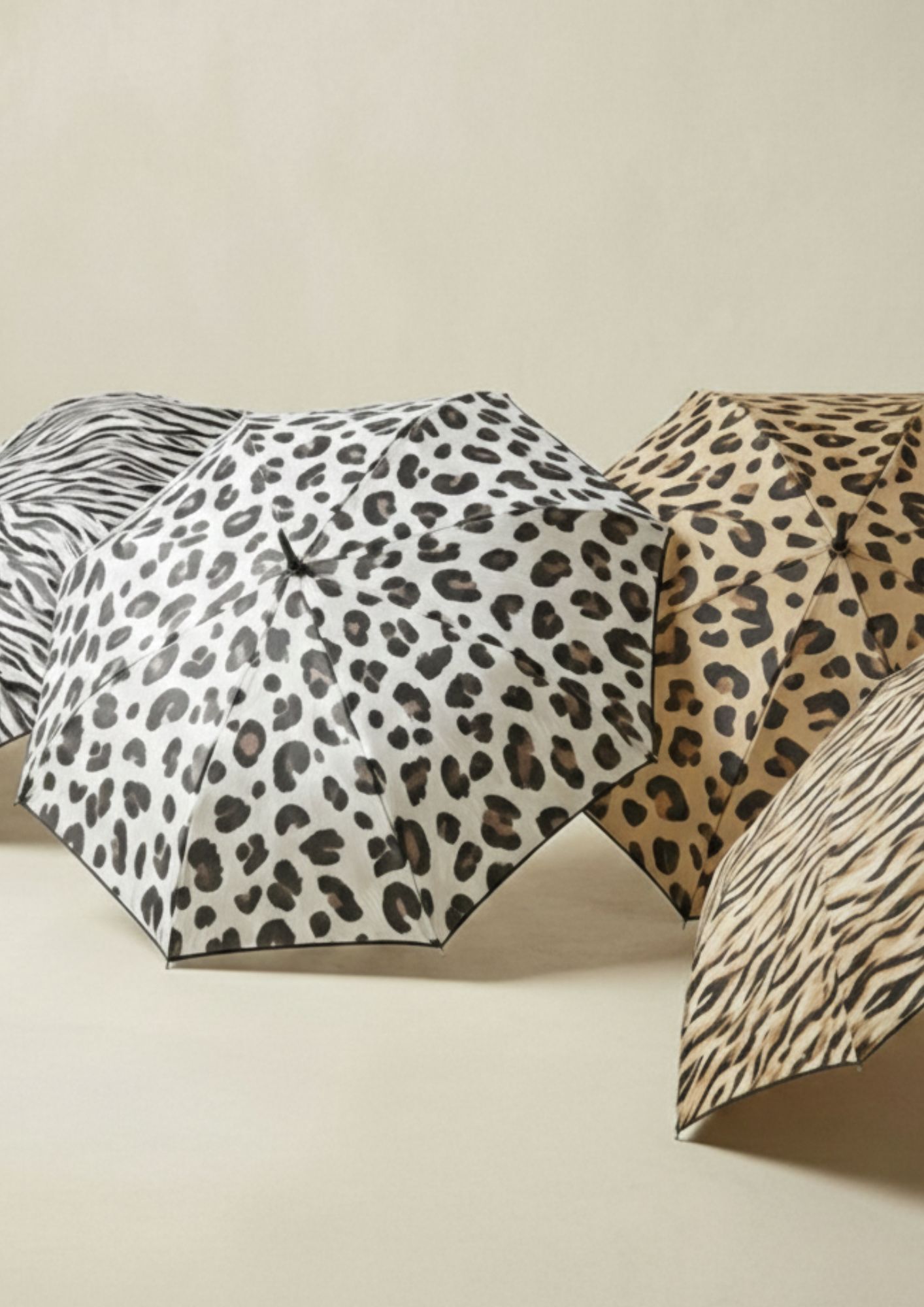 Paraguas bastón elegante con estampado de cebra Paraguas de mujer con estampado animal print y diseño redondeado
